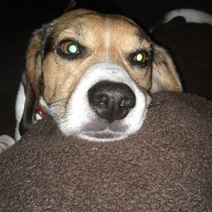 Meet your Posher, Jodi